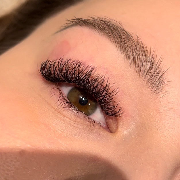 W-LASHES | FREE INFORMATIONAL VIDEO