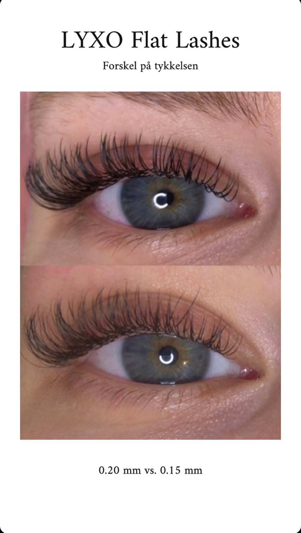 FLAT LASHES | FREE INFORMATIONAL VIDEO