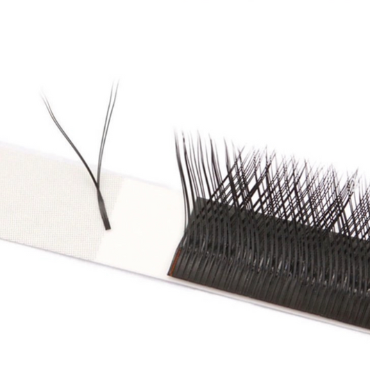 YY 2D Eyelash Extensions