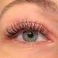 FLAT LASHES | FREE INFORMATIONAL VIDEO