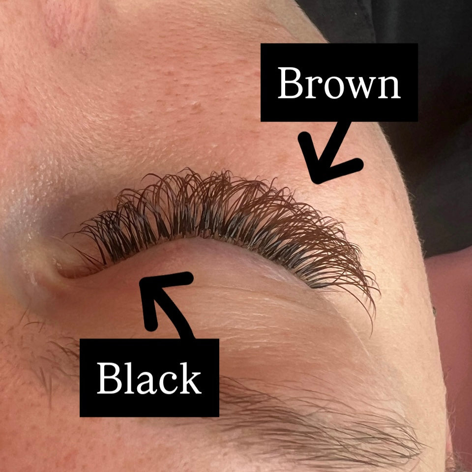 BROWN YY 2D Eyelash Extensions