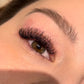 W-LASHES | FREE INFORMATIONAL VIDEO 