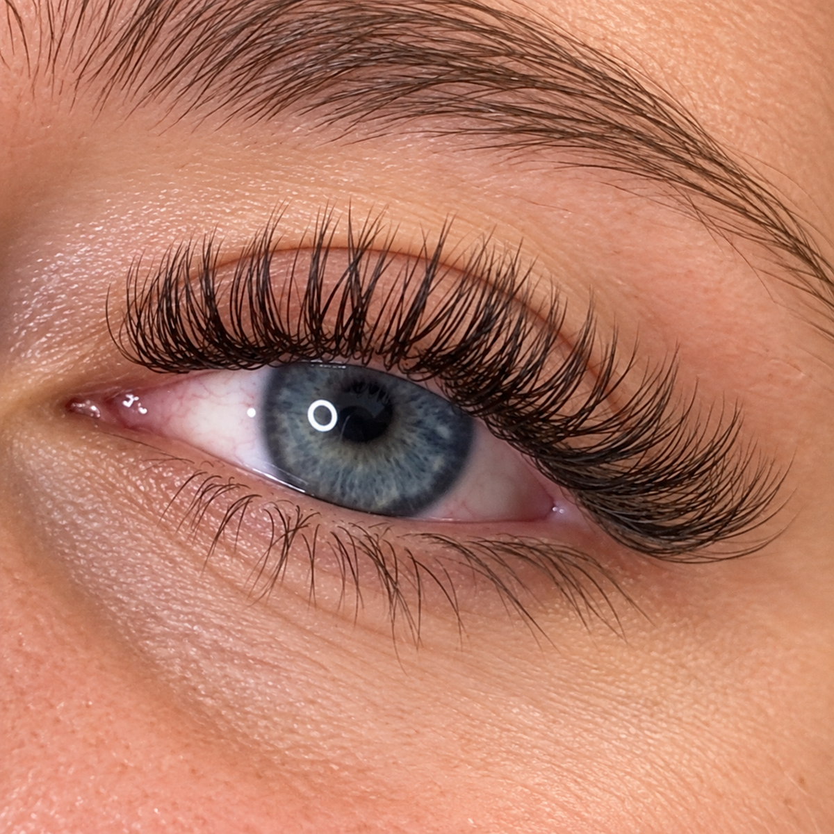 Flat Eyelash Extensions