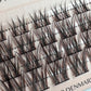 BROWN Wispie Hybrid D-curl Clusters/Lashes