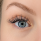 Hybrid C-curl 2.0 Clusters/Lashes
