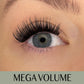 2. SORT Mega Volume D-curl Clusters/Lashes